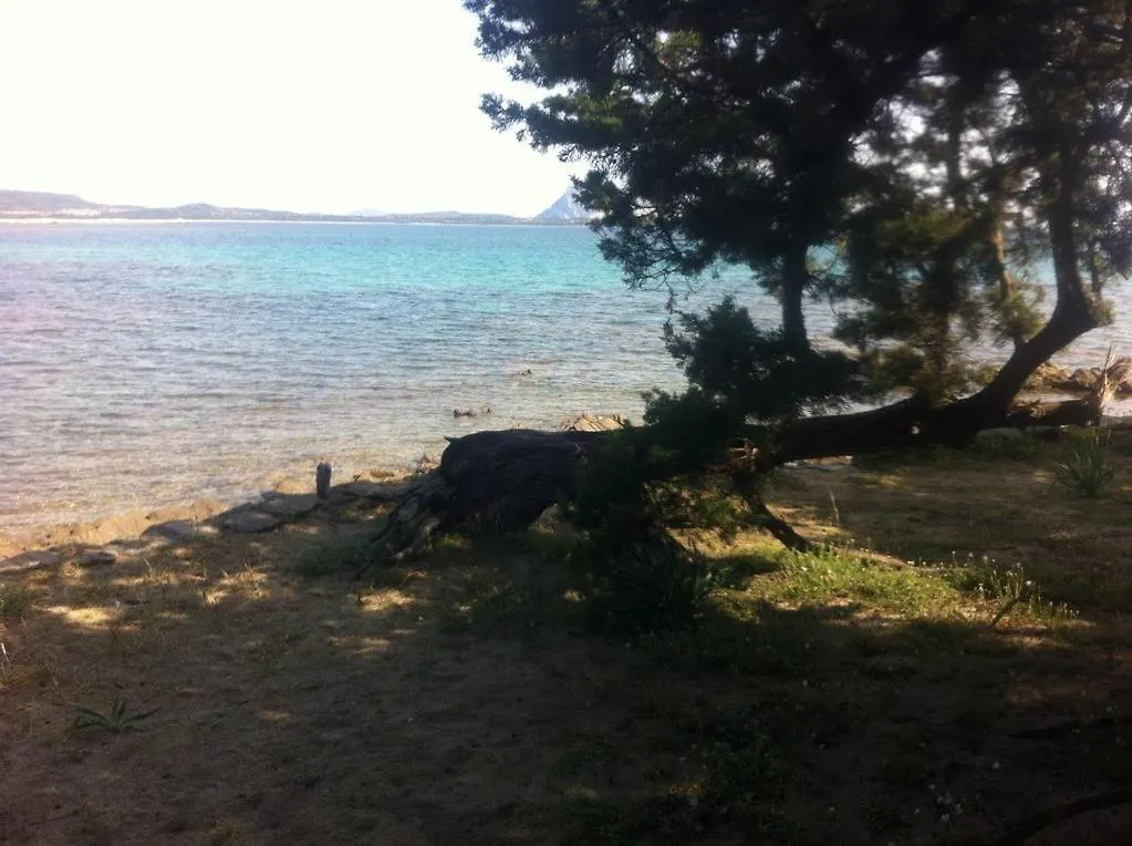 Holiday home Villa Oleandro - 2349447 San Teodoro